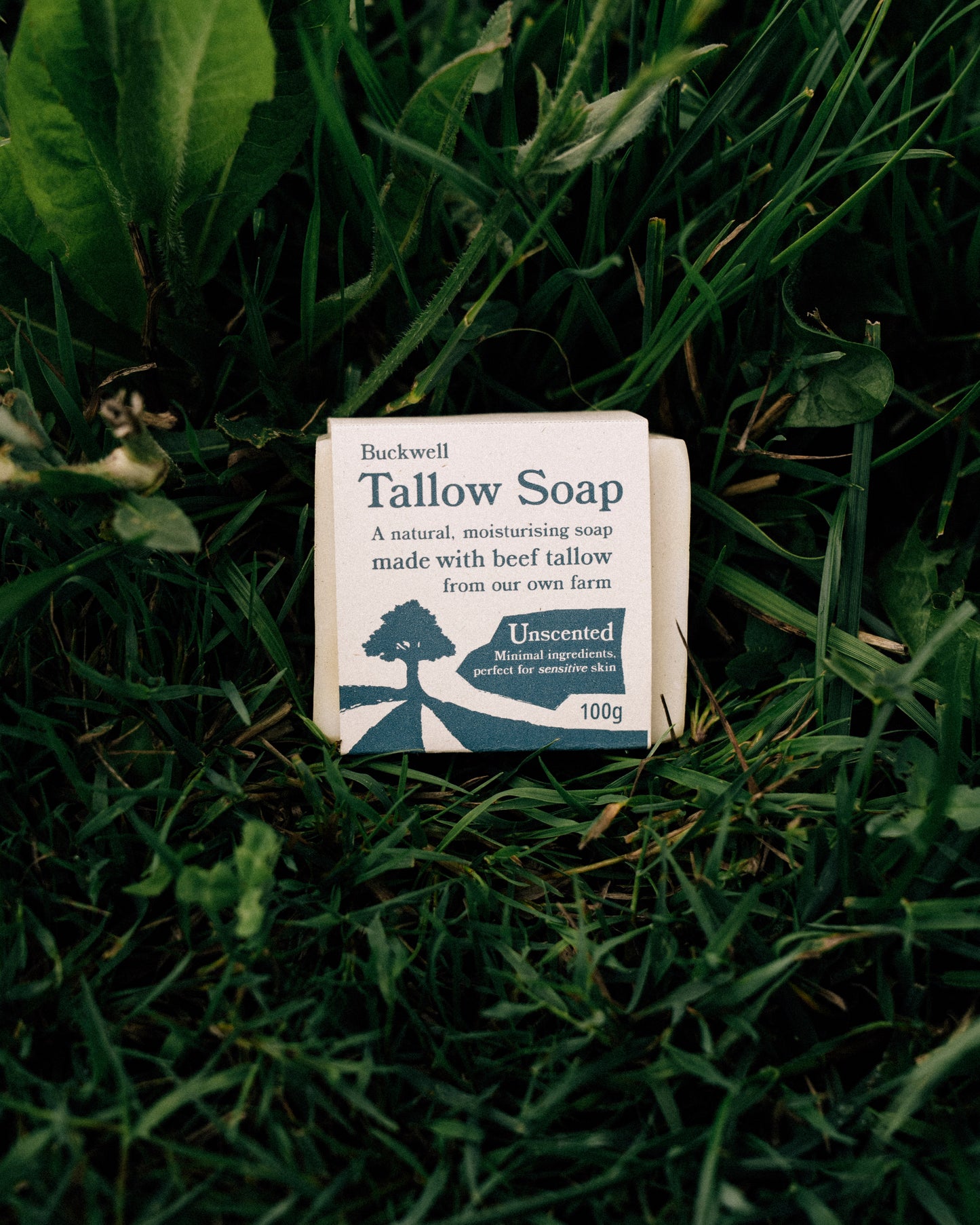 Tallow Soap