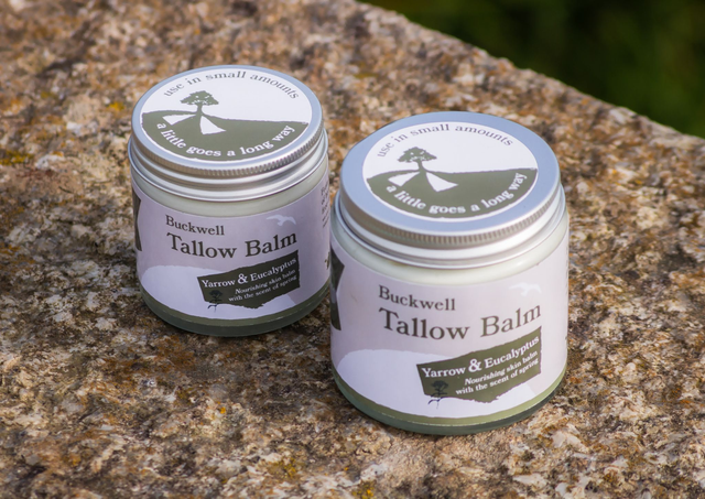 Tallow Balm