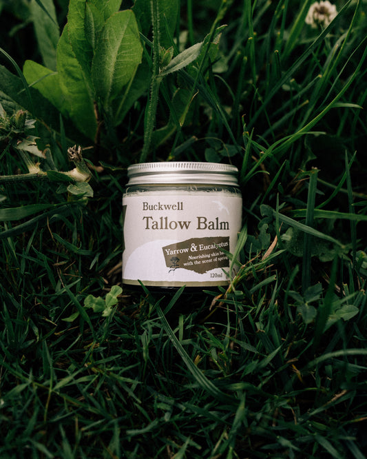 Tallow Balm