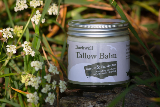 Tallow Balm